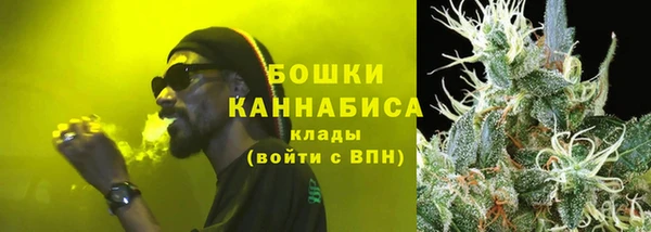 ECSTASY Покачи