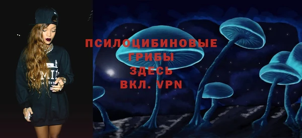 ГАЛЛЮЦИНОГЕННЫЕ ГРИБЫ Алексеевка