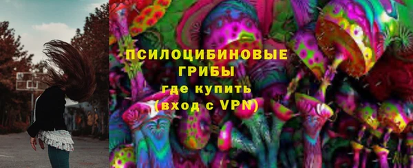 ГАЛЛЮЦИНОГЕННЫЕ ГРИБЫ Алексеевка