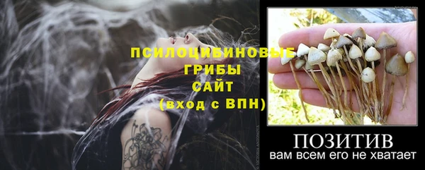 мяу мяу мука Алзамай