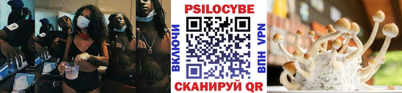 кракен маркетплейс  Болотное  Галлюциногенные грибы мицелий  где продают  